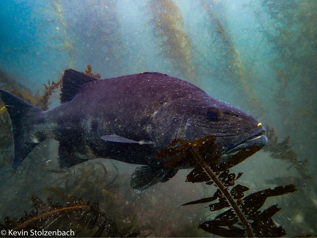 29ac72ed-8b49-4174-8c7f-8d8cd267cbec