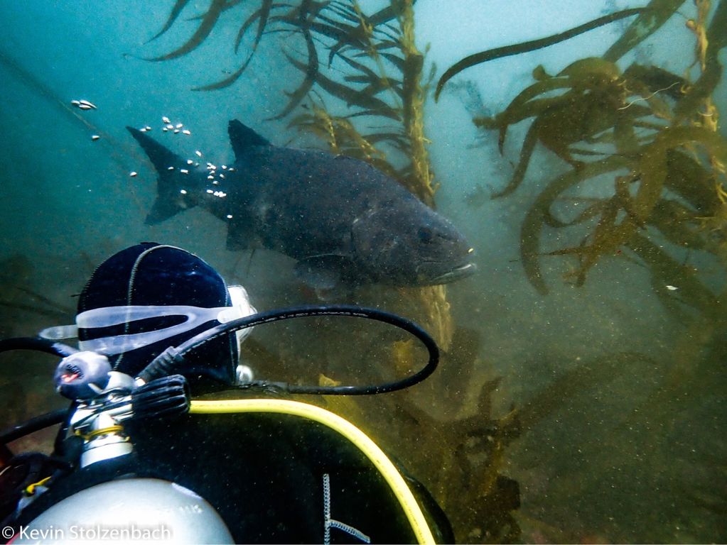 29ac72ed-8b49-4174-8c7f-8d8cd267cbec