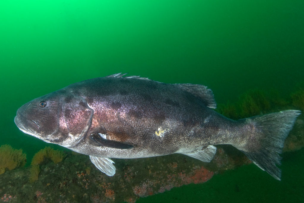 dd73f8b0-9d4e-4037-9be7-b5b8a7eae61b