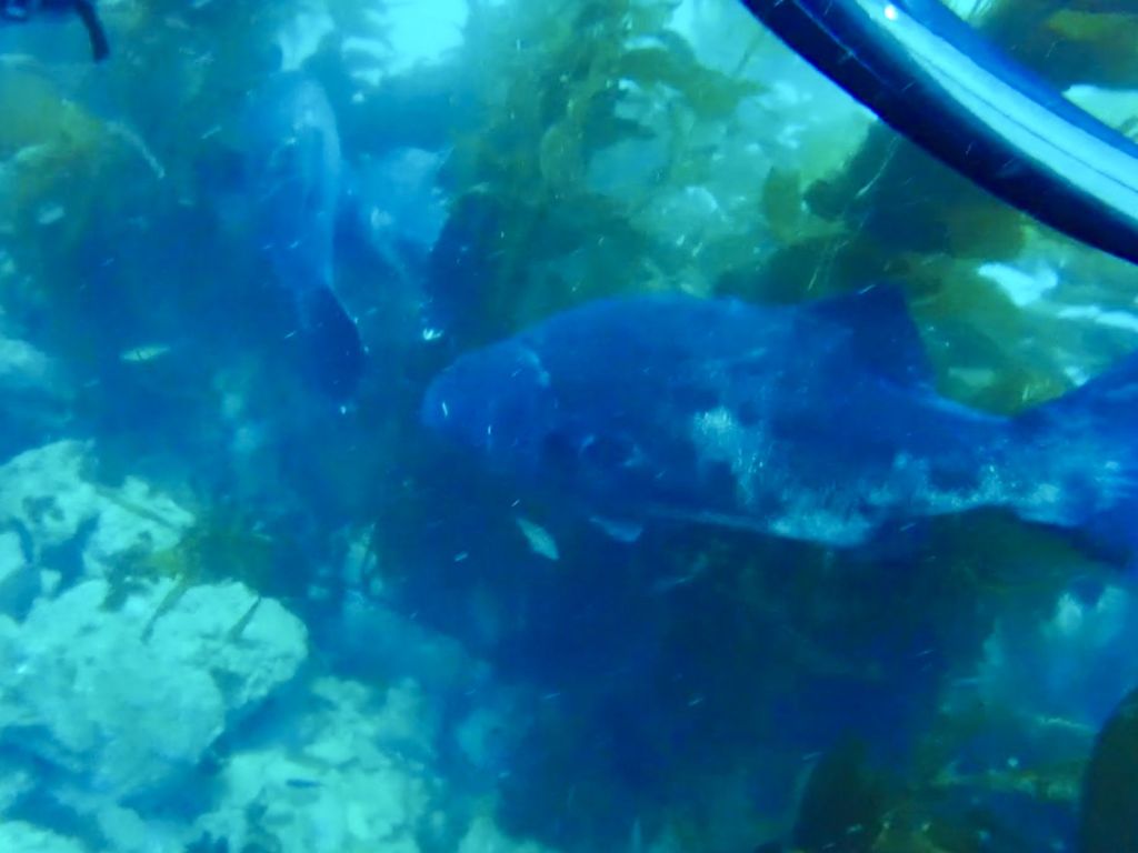 7d81de49-aef7-4a17-8bf1-973f5cd17608