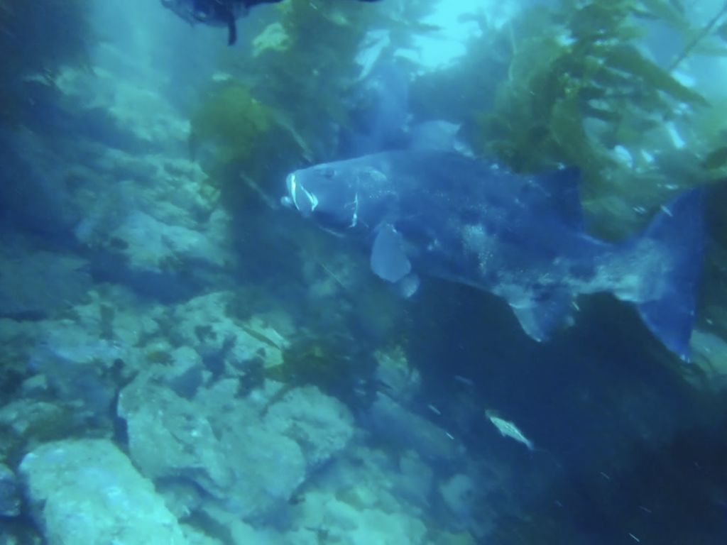 7d81de49-aef7-4a17-8bf1-973f5cd17608