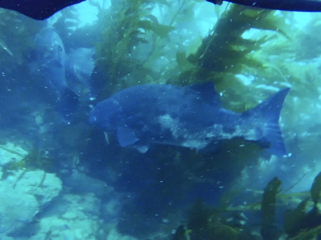 7d81de49-aef7-4a17-8bf1-973f5cd17608