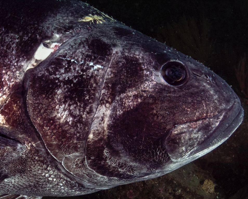 d7f9d87d-4d91-43af-97af-2b4abc87ff24