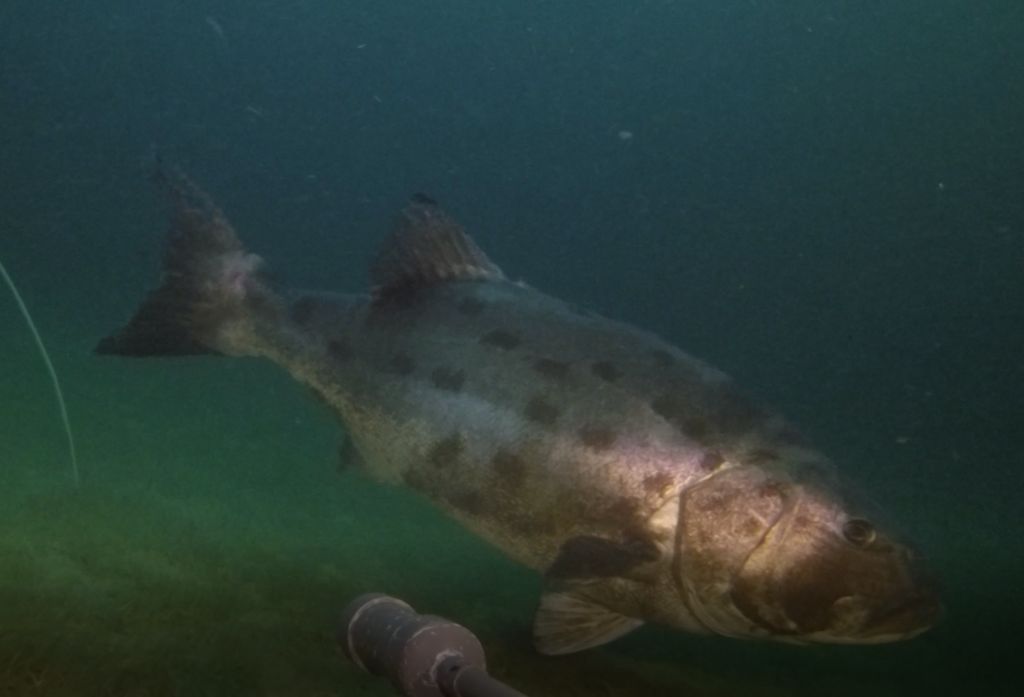 c4f7584f-cdea-4459-bd43-1ff2fa464822