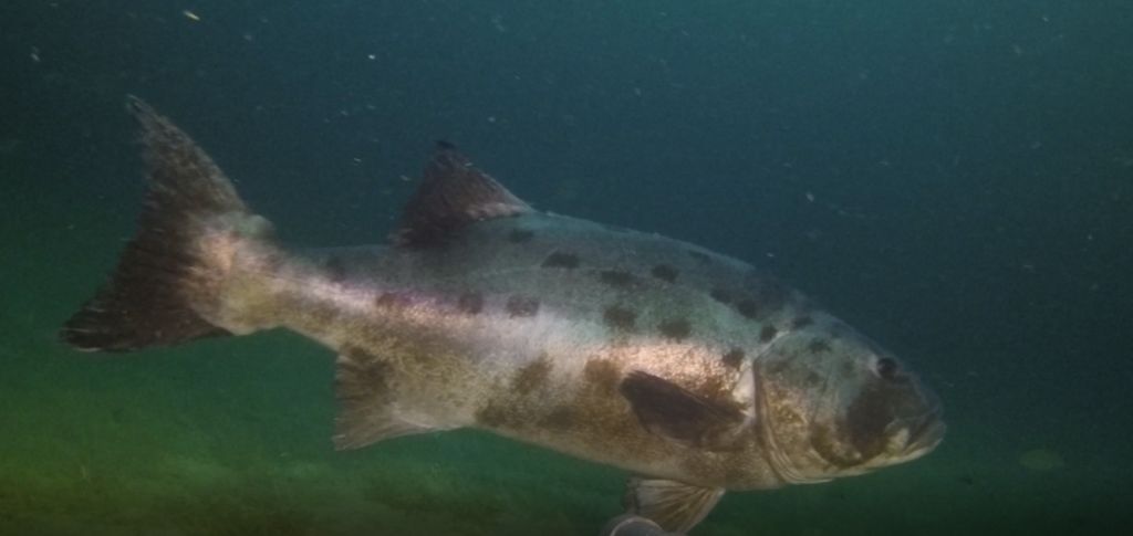 c4f7584f-cdea-4459-bd43-1ff2fa464822