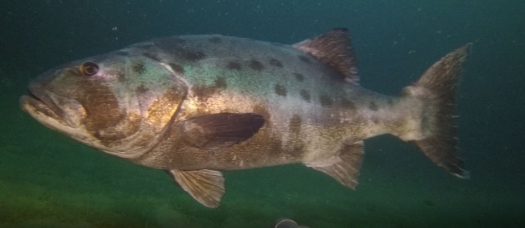 c4f7584f-cdea-4459-bd43-1ff2fa464822