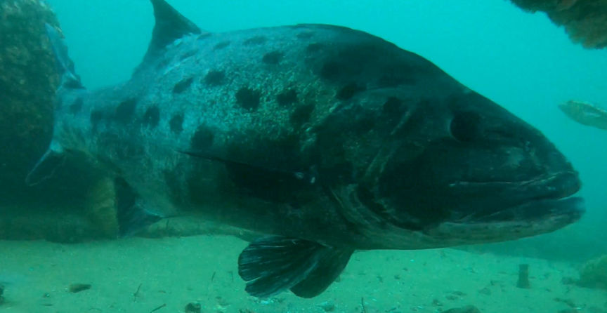 ba99bec4-876b-4602-885c-993470856497