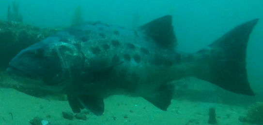 ba99bec4-876b-4602-885c-993470856497