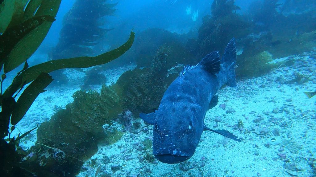 ccf93f87-d3ef-42c3-8003-d966165f3137