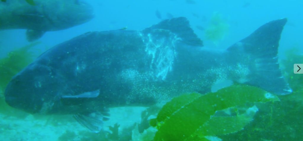 935df66d-db91-4c05-9c72-10a98c0a7a65