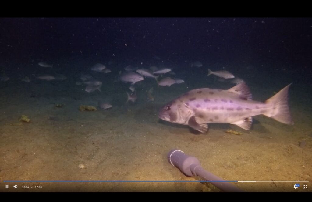 149c9c66-f168-4714-852b-00060badd2ea