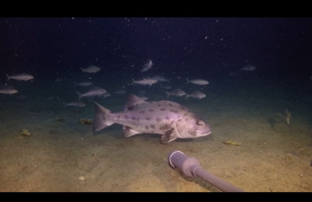 149c9c66-f168-4714-852b-00060badd2ea