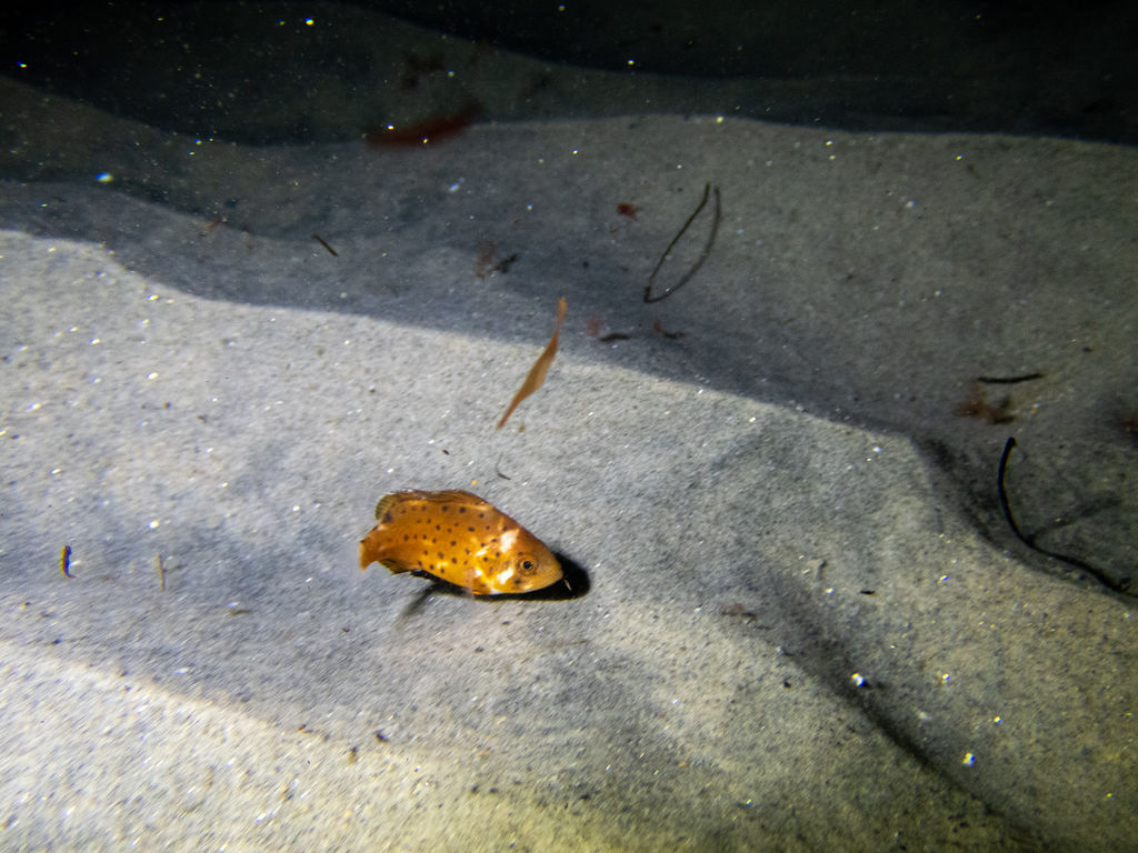 a727b322-7ee0-4242-ab02-d57cdff94572