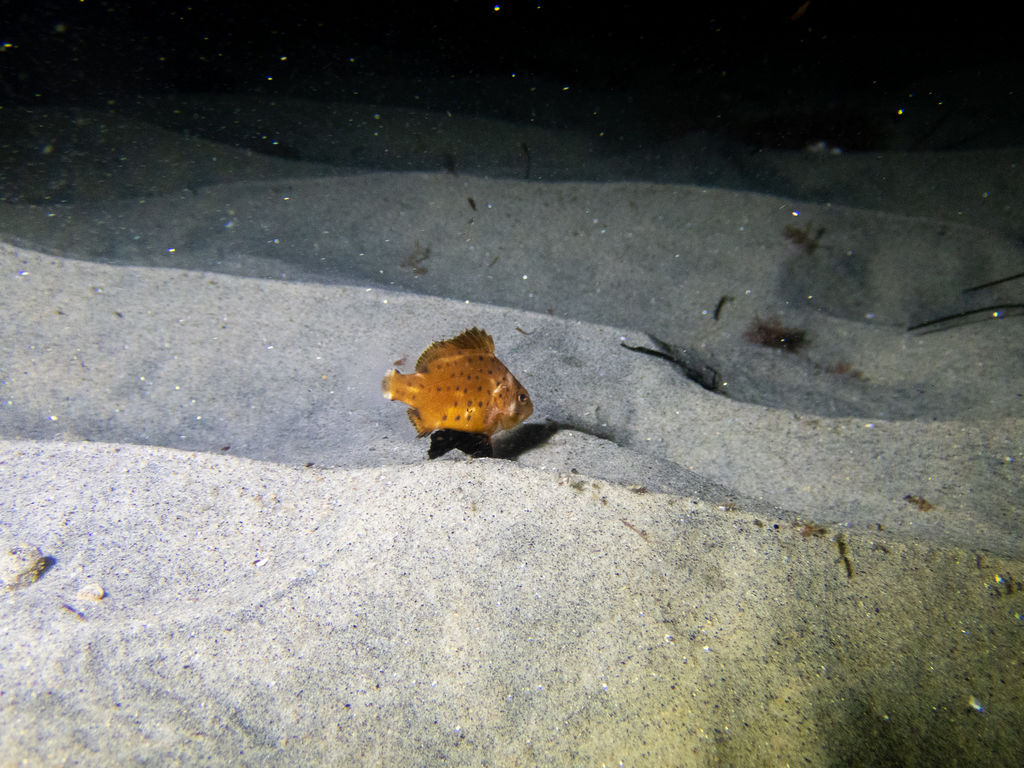 a727b322-7ee0-4242-ab02-d57cdff94572