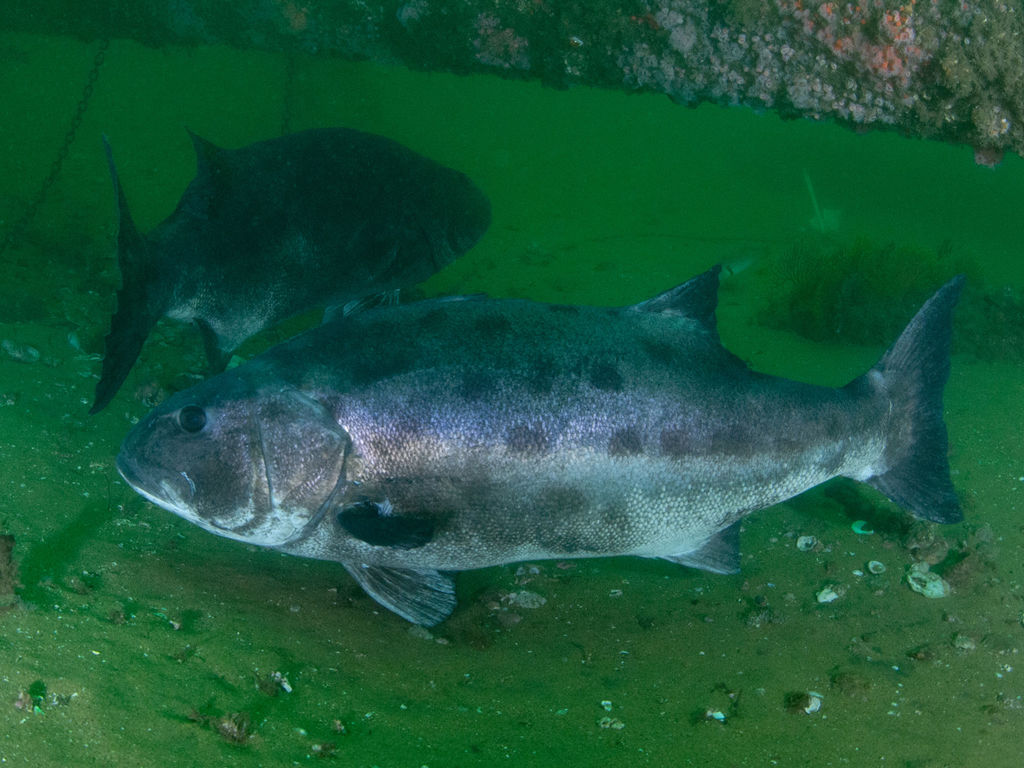 6db1a3a2-52d9-4157-b8f7-dd44892f46c2