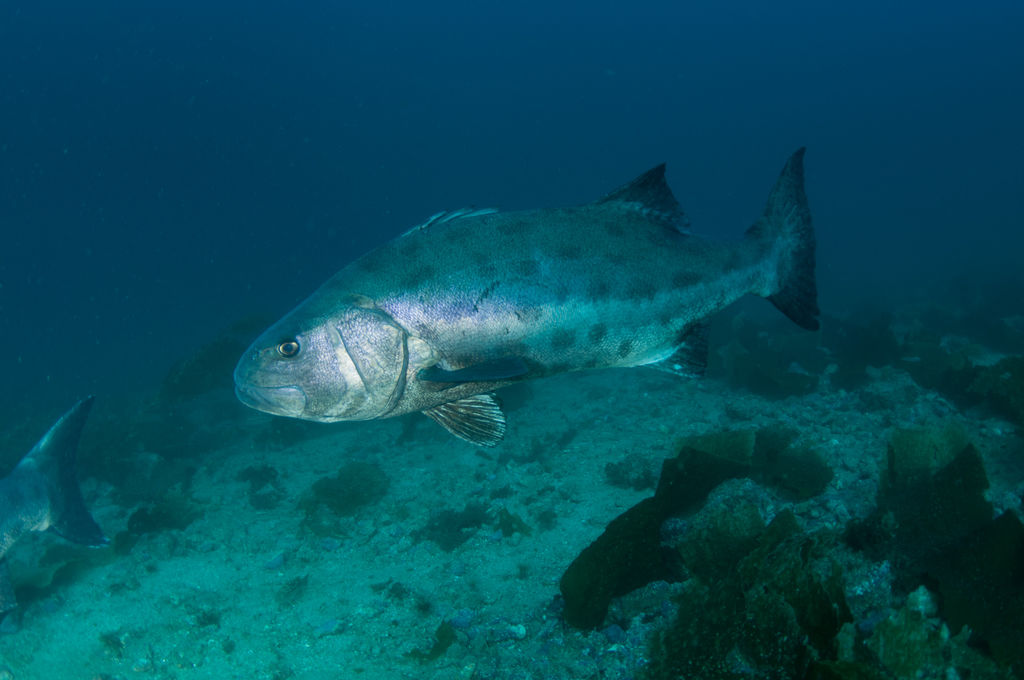 f879164a-5451-4b19-b404-3dc298c0a041