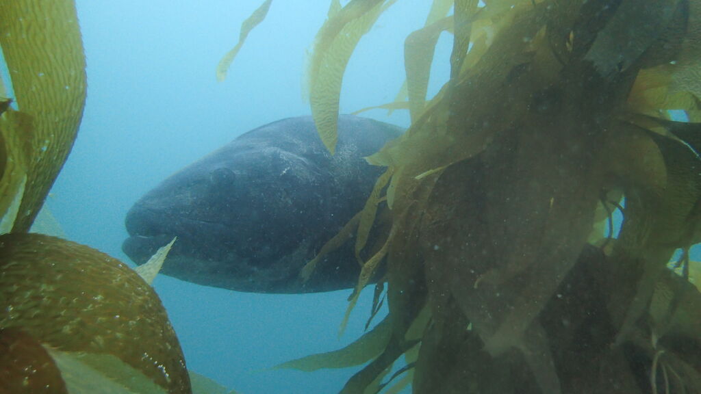 440b160b-d1a2-493a-9998-872383a72567