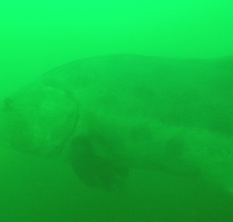 fec6fc14-5bd6-4680-8101-e797a976a831