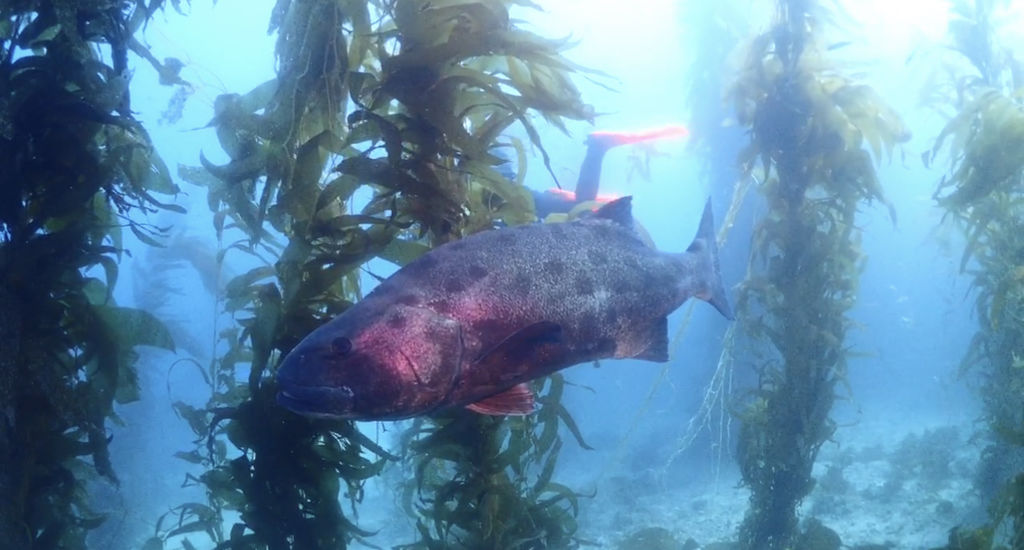 a3fbcfe8-f69a-4aef-b3cf-a05251a27fd8