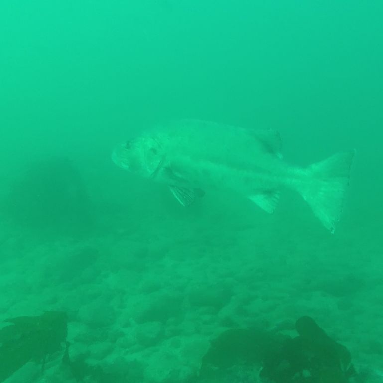 c99c59d8-dda0-4361-9e78-b36035b045c6