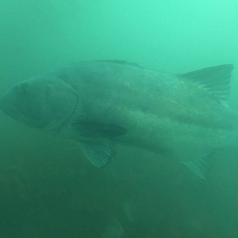 8ecc93d2-df1d-4676-9e4c-879ec550ead9