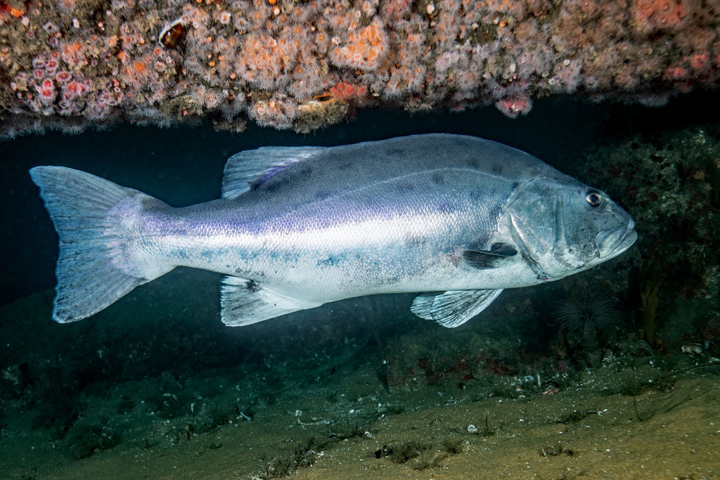 2b53792f-8f96-41a2-9e63-ba5670ace4bd