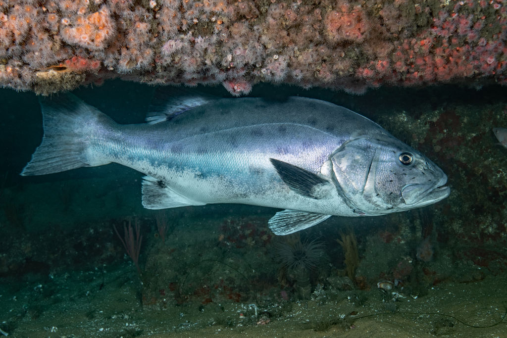 2b53792f-8f96-41a2-9e63-ba5670ace4bd