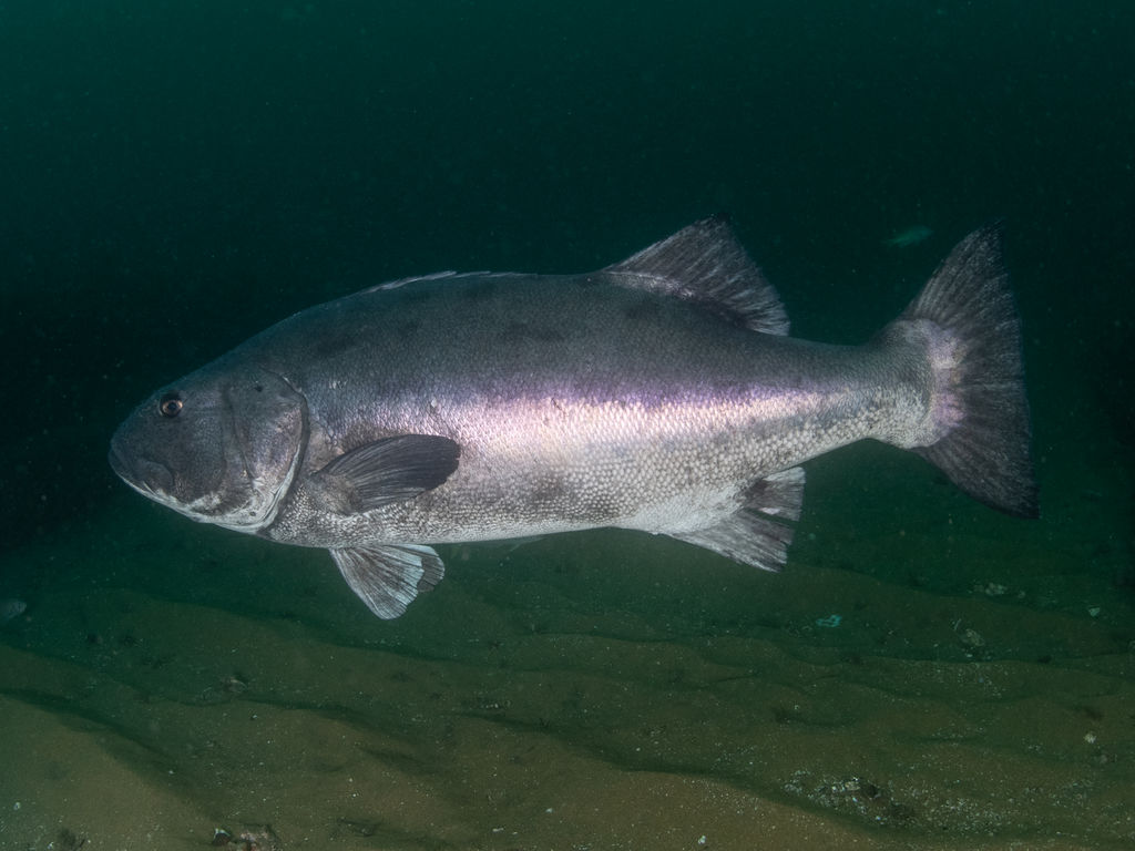 e86b1665-e52f-4ced-a341-588762a05495