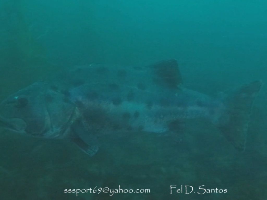 feba085e-f748-49bd-a2e8-8d94df2a7716