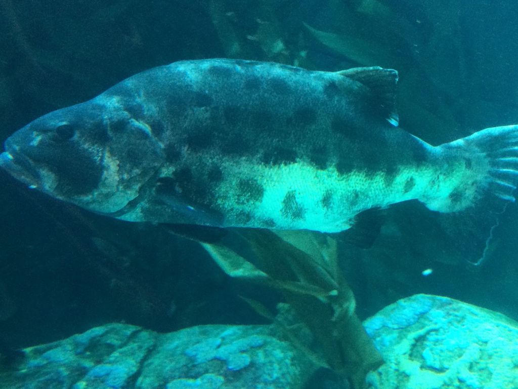 cd52d1f8-088b-4338-9b96-4b71b5af59f1