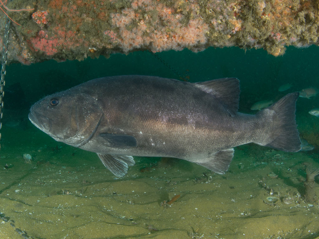 da35e1dc-59a3-4295-a29e-97320b2c0575