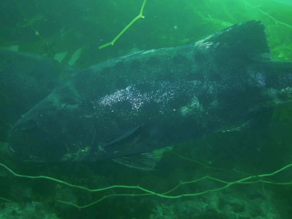 b6be489a-e1d8-4673-8fa7-8f7b2f50d525