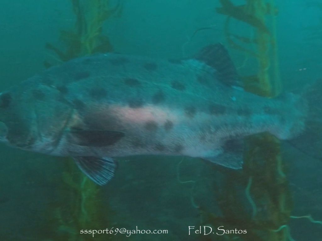 feba085e-f748-49bd-a2e8-8d94df2a7716