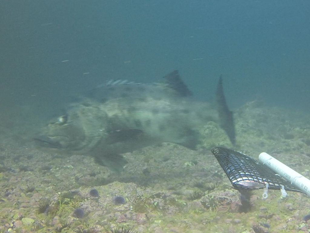 603ee5d0-e0fd-41a6-87e1-a2bf50d0e8e0