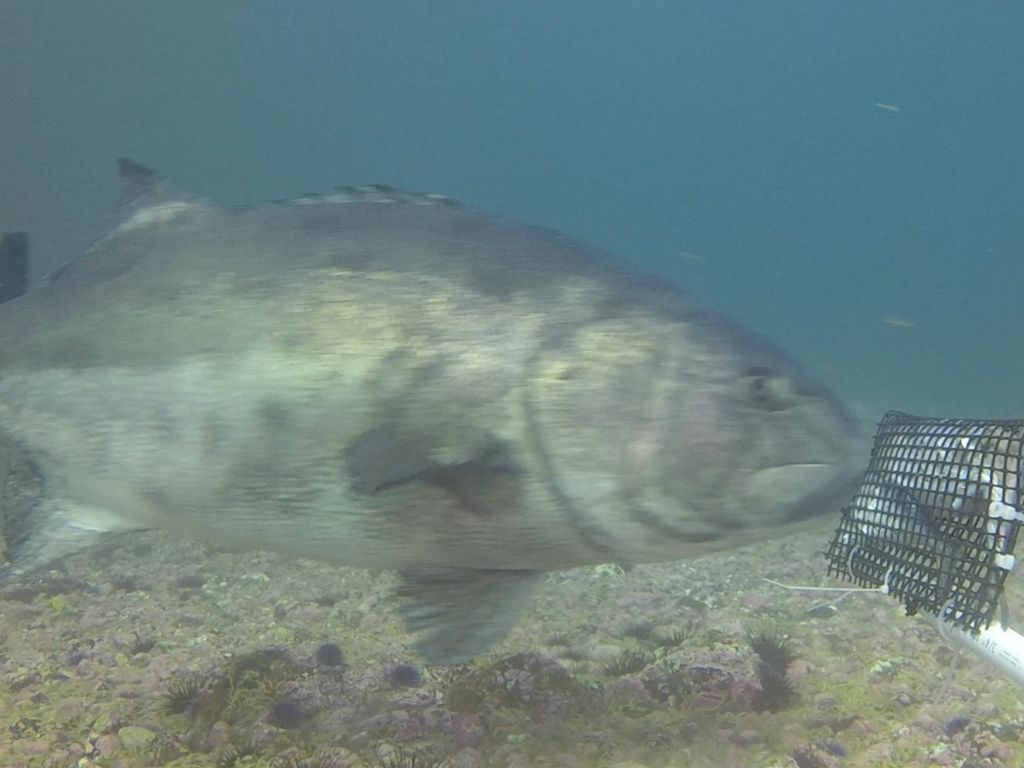 603ee5d0-e0fd-41a6-87e1-a2bf50d0e8e0