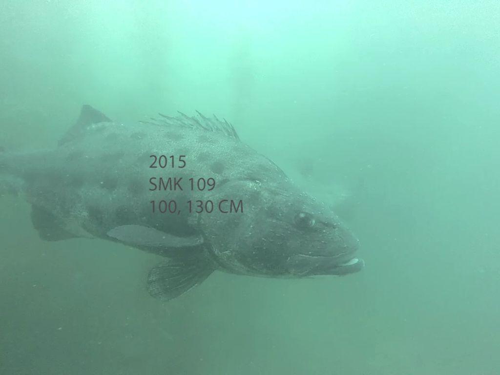 a90b6832-5f6a-4ae9-af23-13b5a9fdc082