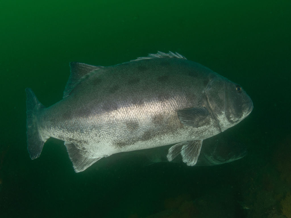 423a2657-fe35-410c-9755-53f93215cf6a