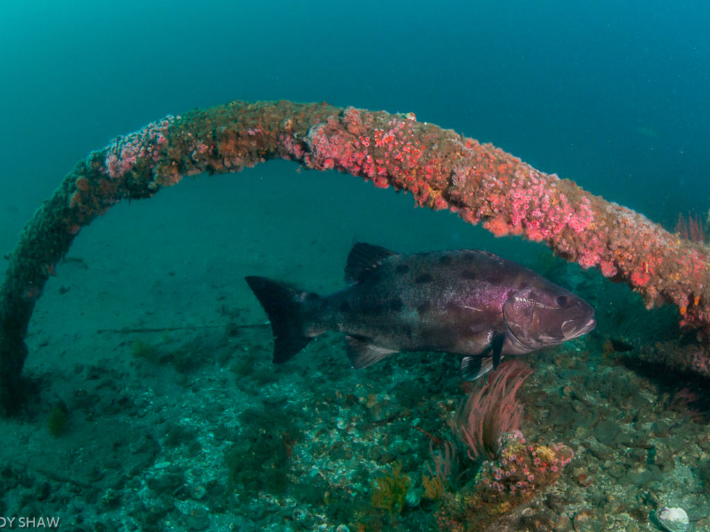 d2b4a2c7-072e-4816-872a-f233bebff955