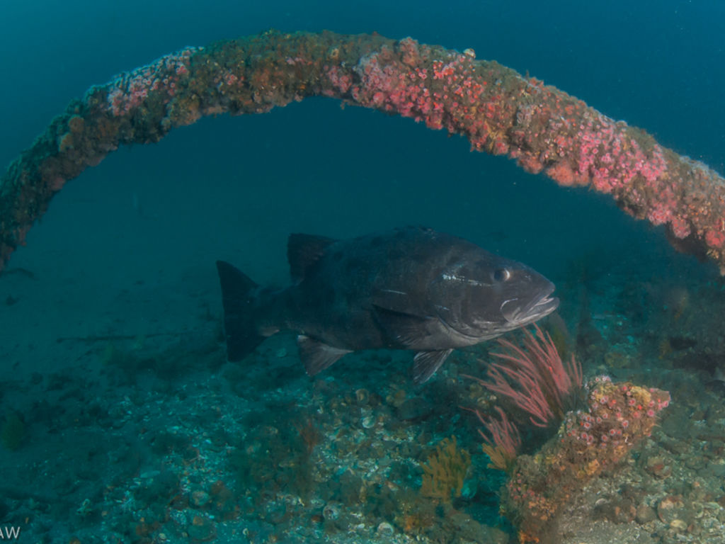 d2b4a2c7-072e-4816-872a-f233bebff955