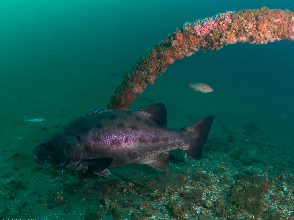 d2b4a2c7-072e-4816-872a-f233bebff955