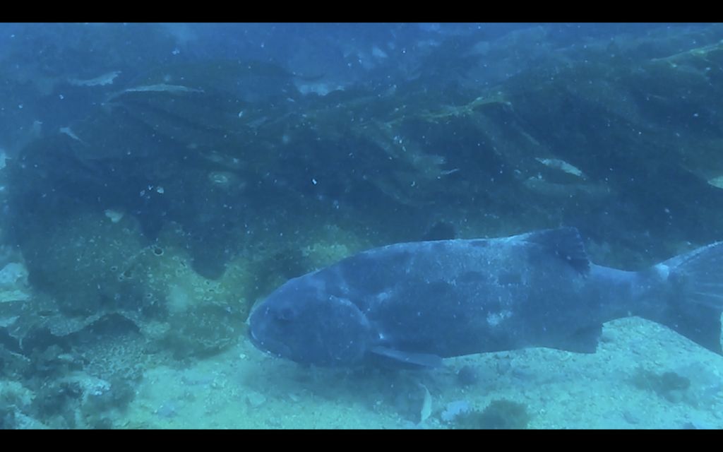 47b2d3f9-7eb8-4f8d-ba88-b6a78fbe2190