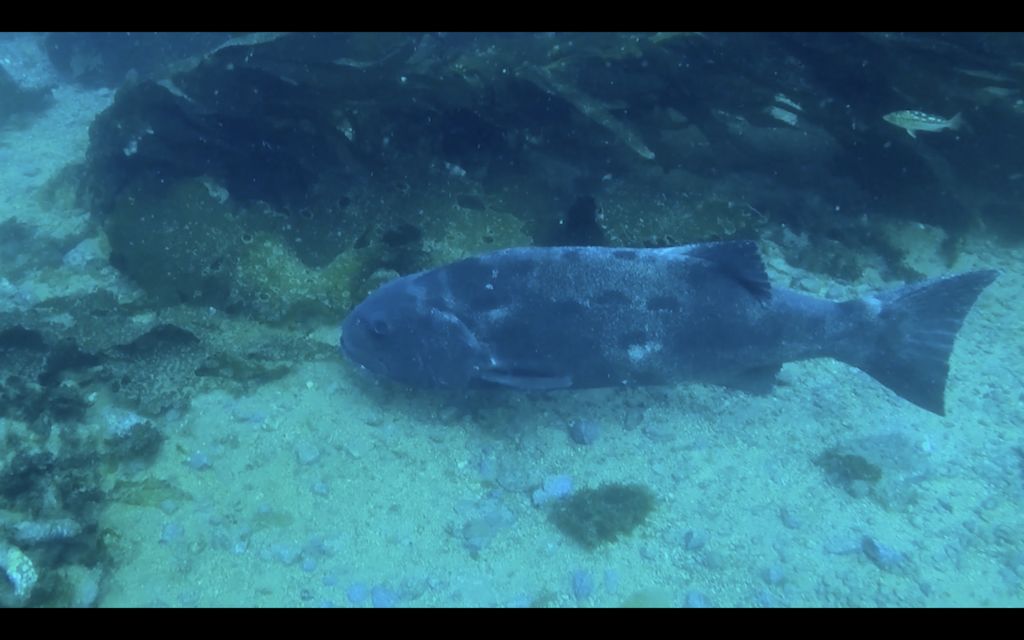 47b2d3f9-7eb8-4f8d-ba88-b6a78fbe2190