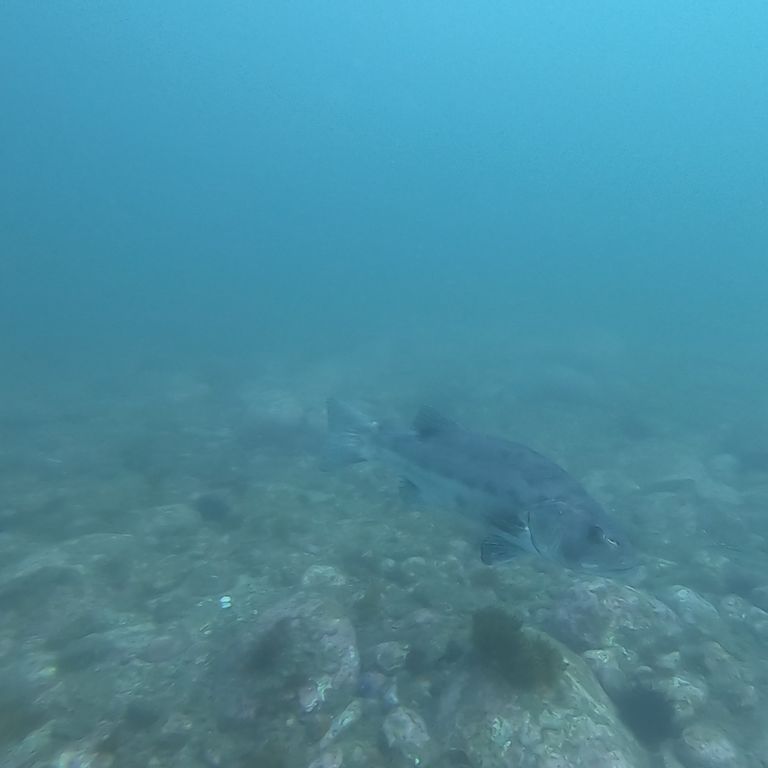 052efcdf-4ef4-4e5a-b281-d7e8b054445f