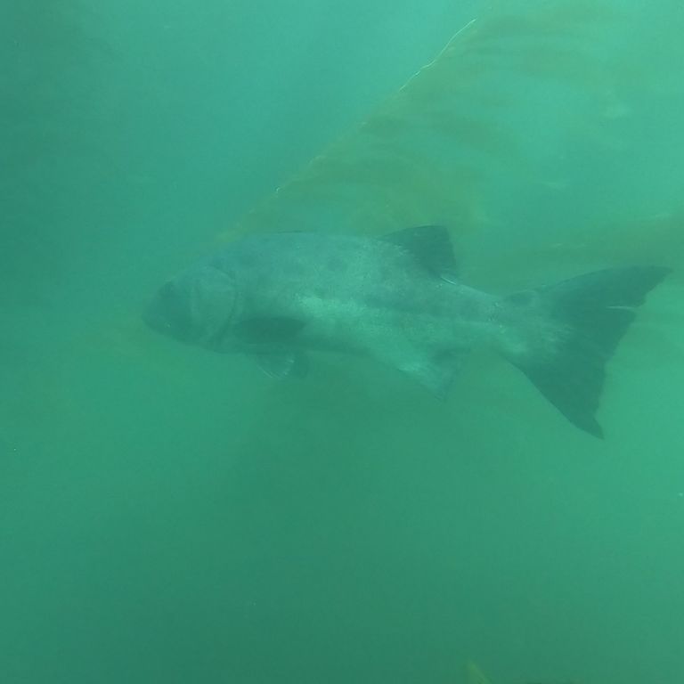 44649bef-3c8a-447b-908b-b9ec9ecbc441