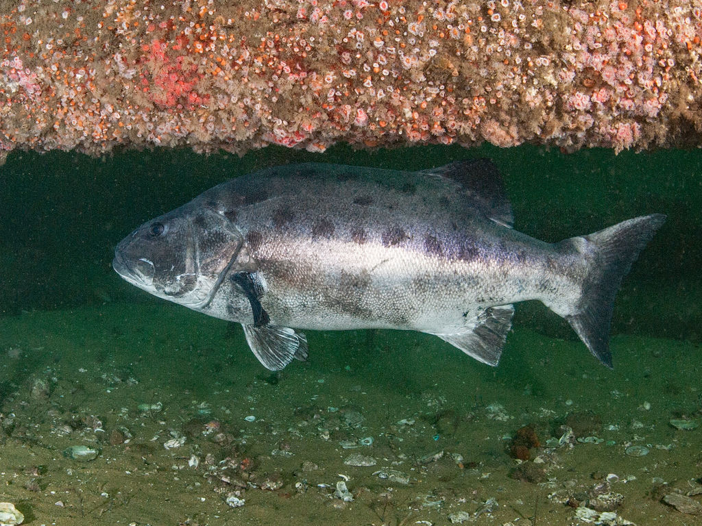 d512b132-4c6c-44a4-809a-93d2d858a90f