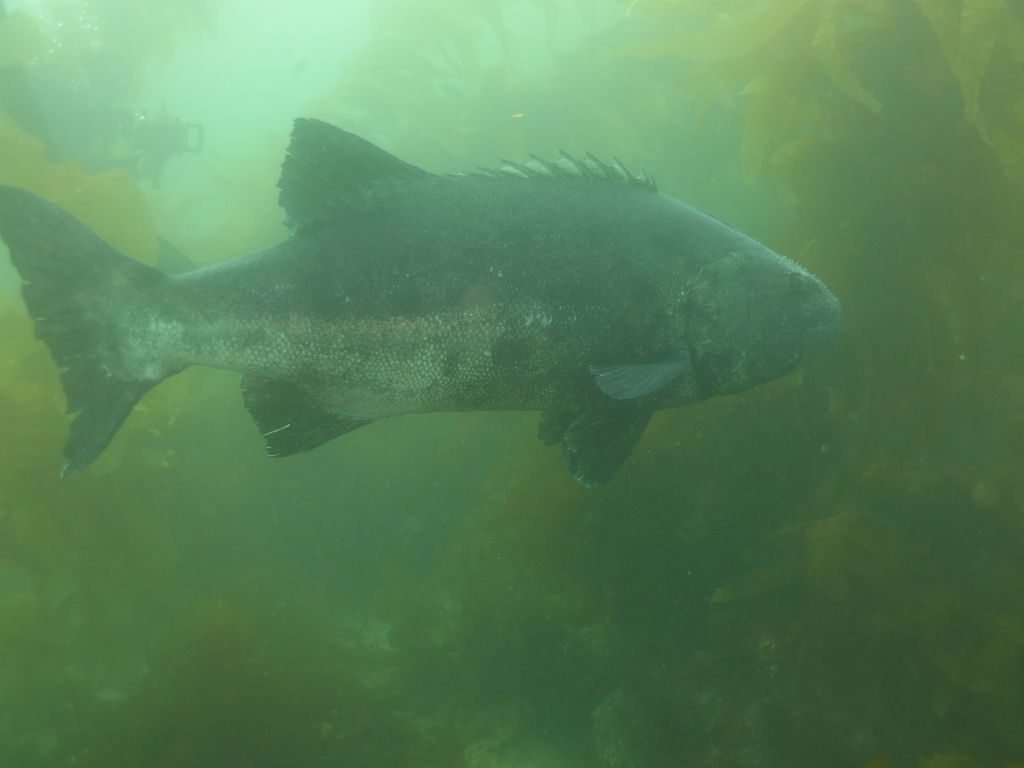 47d20118-1475-41bc-a547-6c94a8405311