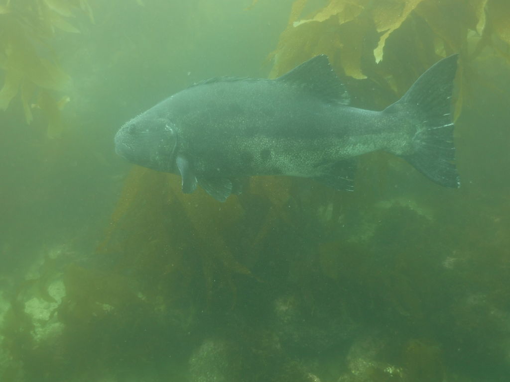 47d20118-1475-41bc-a547-6c94a8405311