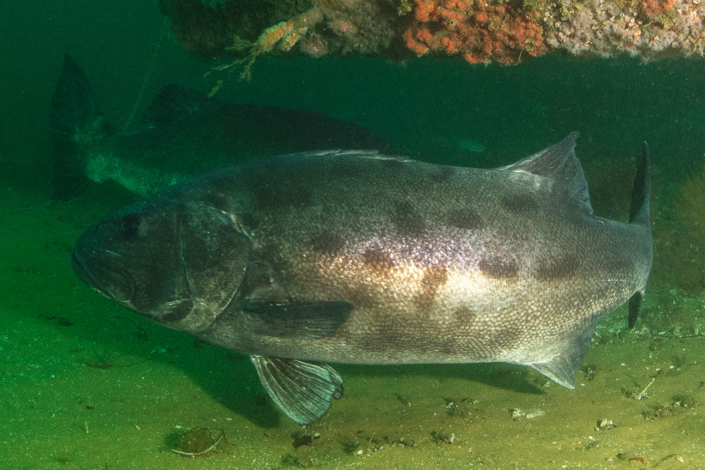 d1576d4d-fee5-4173-9cd0-b1b1729e896d