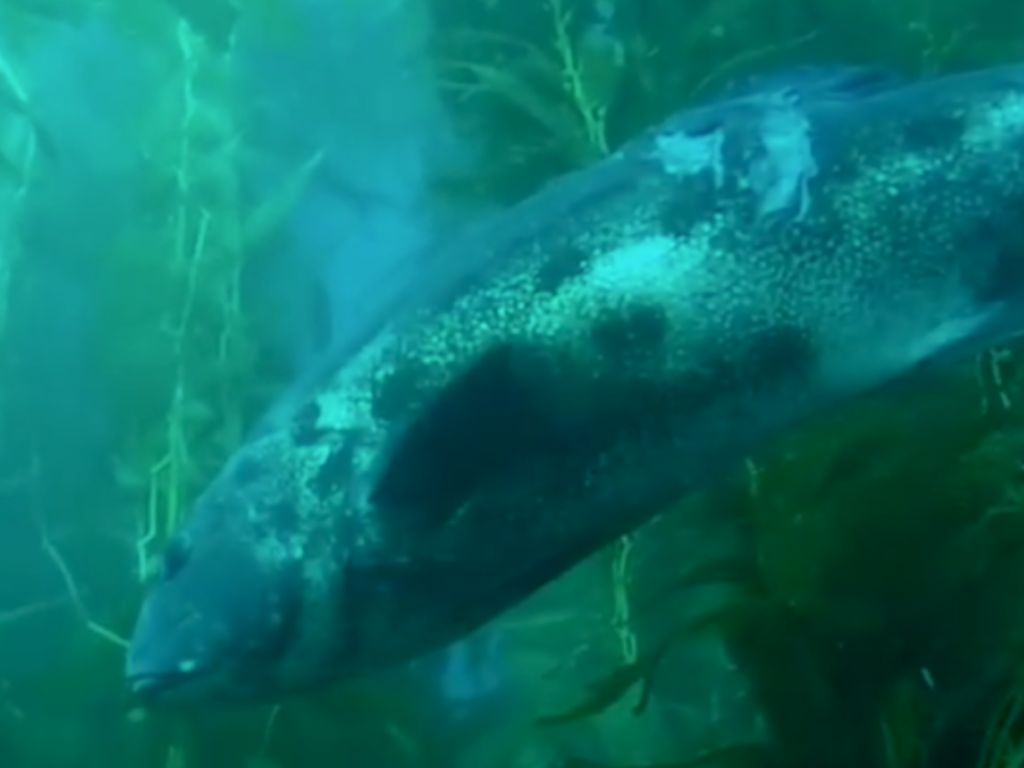 935df66d-db91-4c05-9c72-10a98c0a7a65