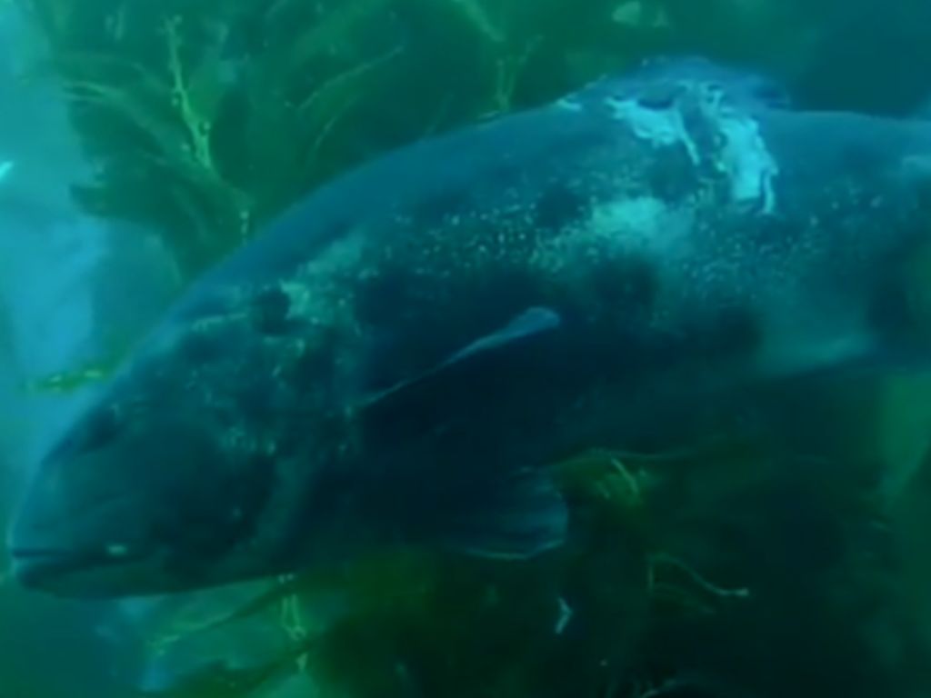 935df66d-db91-4c05-9c72-10a98c0a7a65